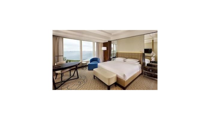 Hotel Hyatt Regency Istanbul Atakoey poza 2