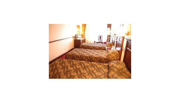 Hotel Topkapi Interistanbul poza 3