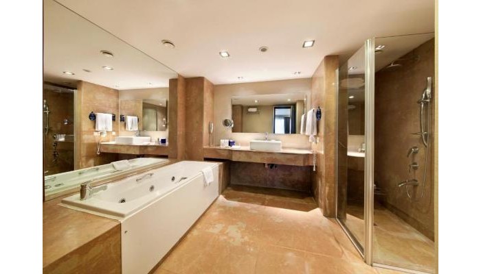 Radisson Blu Conference And Airport Hotel poza 3