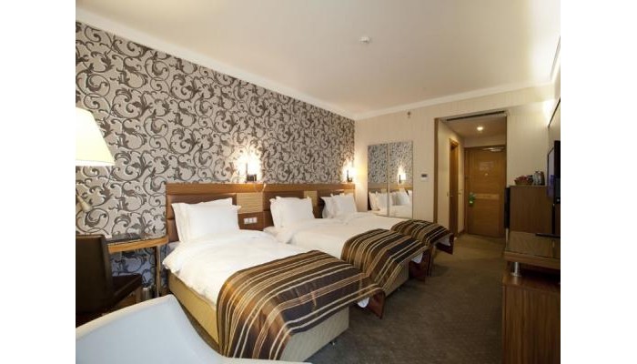 Hotel Armis Otel poza 9