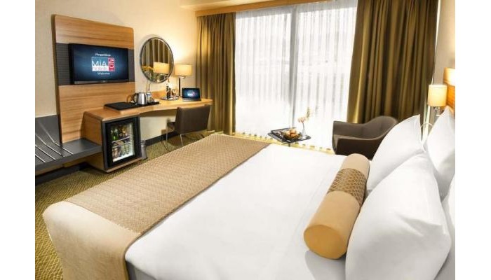 Poza pentru Mia City Hotel 4132-1565733756 Mia City Hotel poza 9