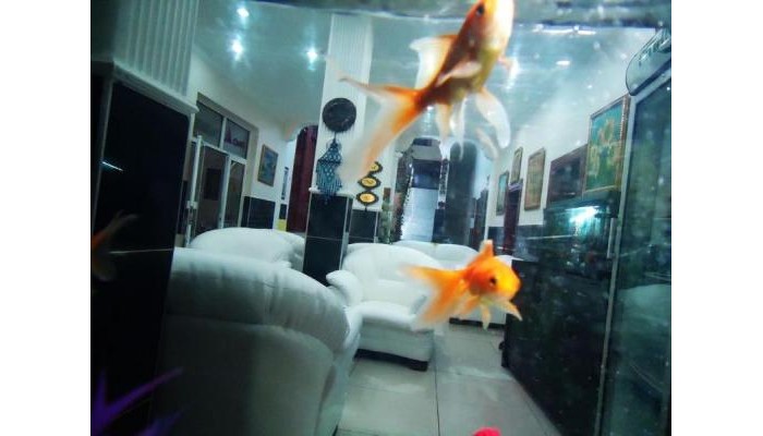 Vatan Hotel poza 0