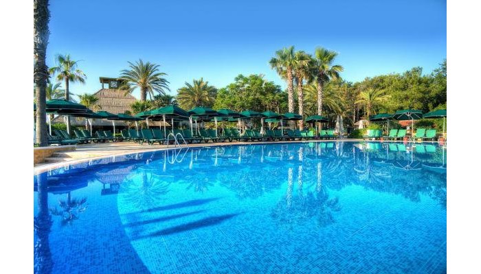 Hotel Gypsophila Club Marine poza 12