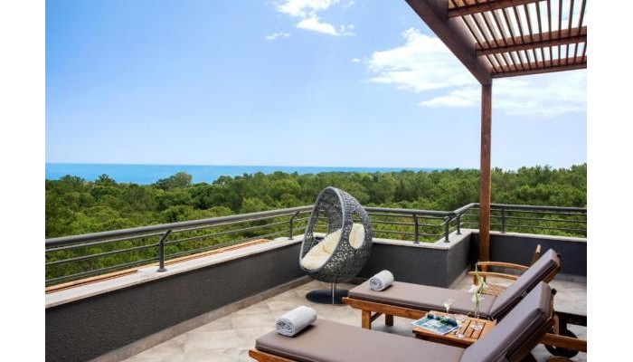 Hotel Balmy Foresta poza 7