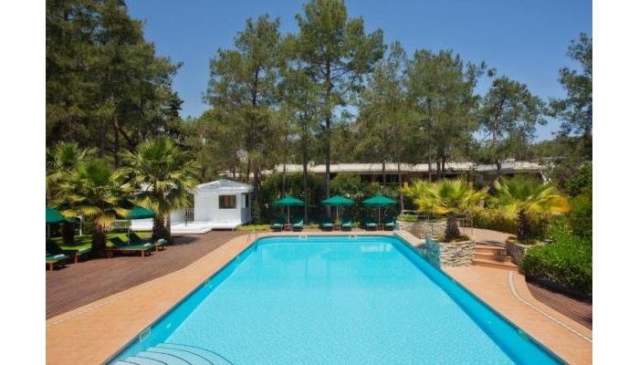 Hotel Balmy Foresta poza 24