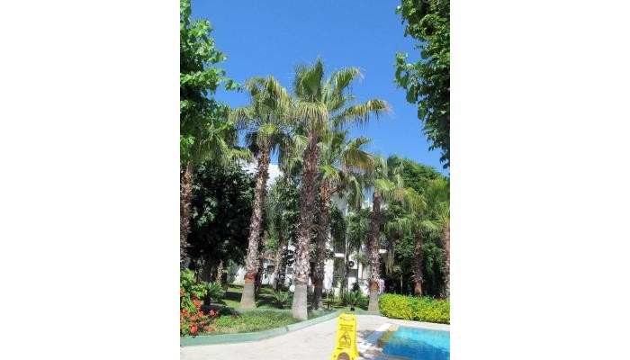 Hotel Club Akman Beach poza 3