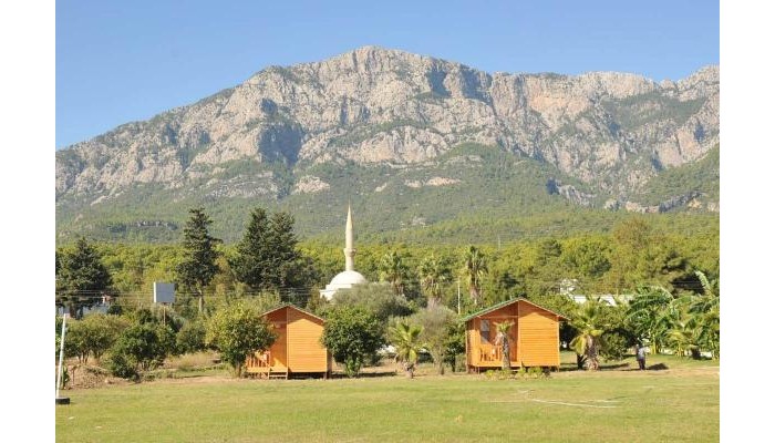 Hotel Elamir Beach Bungalow poza 2