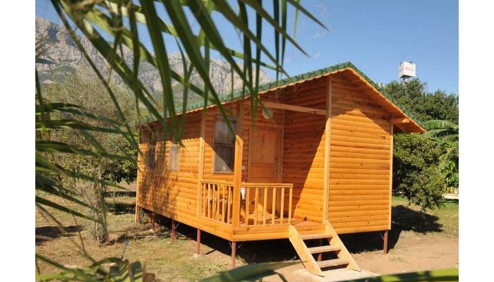 Hotel Elamir Beach Bungalow poza 1