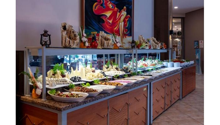 Hotel Viking Park poza 12