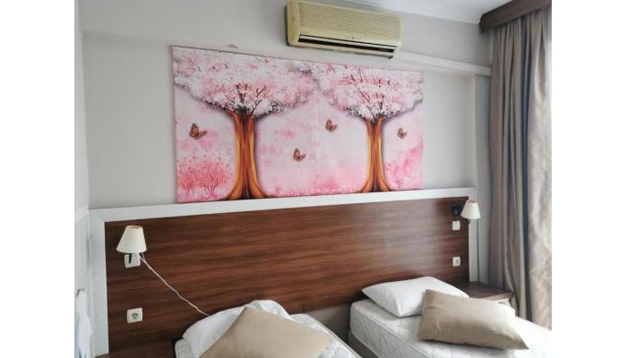 Hotel Akman poza 6