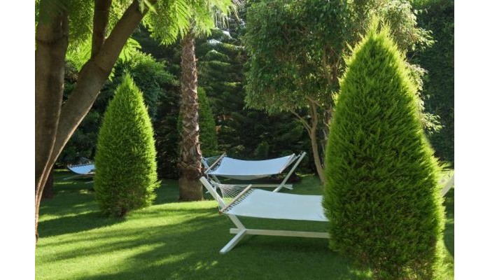 Poza pentru Hotel Delphin Diva 3560-1759392135 Hotel Delphin Diva poza 33