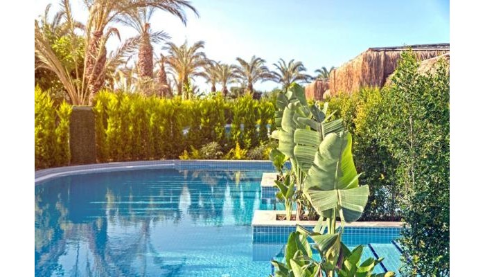 Hotel Royal Wings poza 28