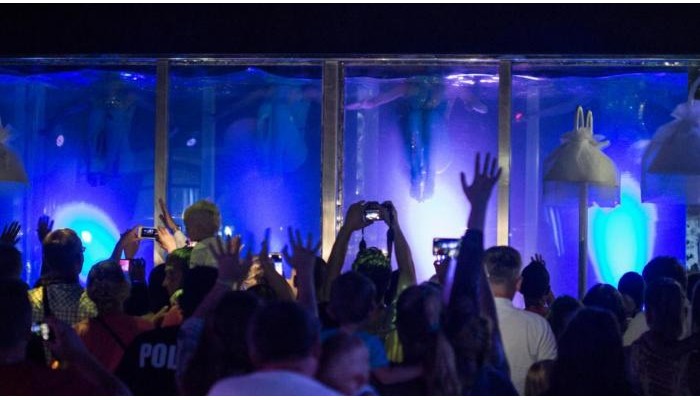 Hotel Ducale Lara (Ex Venezia Palace) poza 20