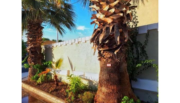 Hotel High Life Apart poza 19