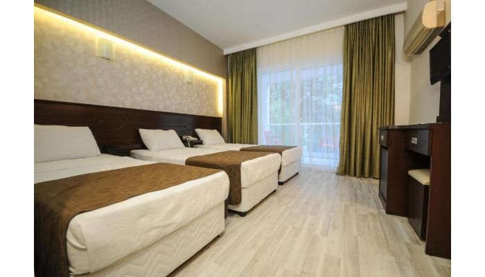 Palmea Hotel poza 11