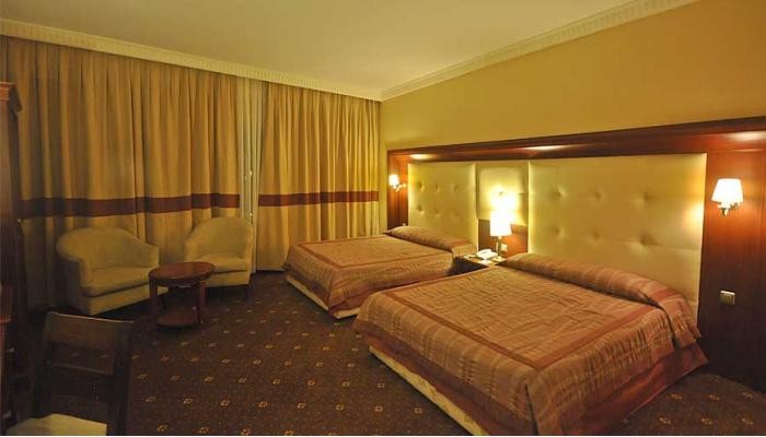 Poza pentru Hotel Pineta Park Deluxe 3458-1634544382 Hotel Pineta Park Deluxe poza 8