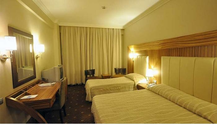 Poza pentru Hotel Pineta Park Deluxe 4162-1634544372 Hotel Pineta Park Deluxe poza 3