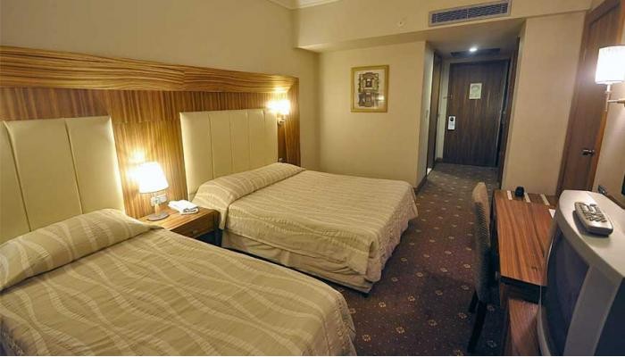 Poza pentru Hotel Pineta Park Deluxe 7530-1634544374 Hotel Pineta Park Deluxe poza 4