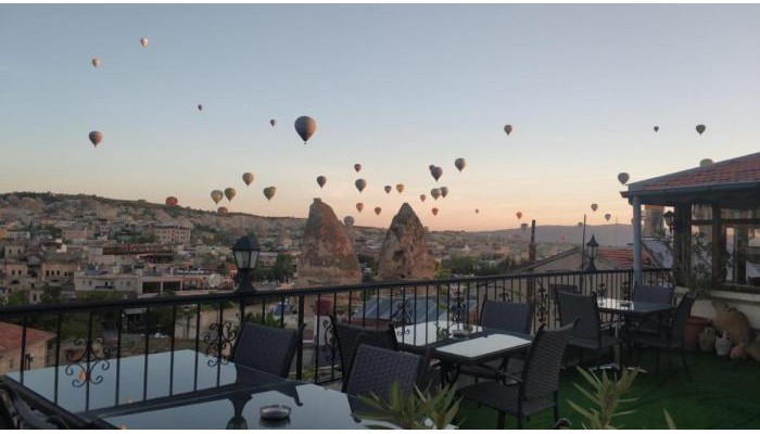 Arch Palace Hotel poza 8