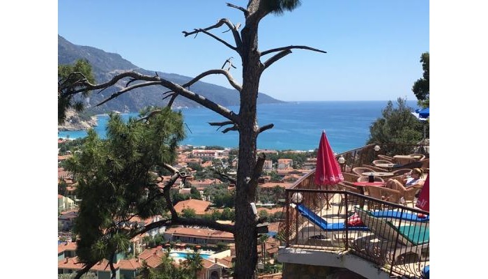 Bellevue Hotel poza 9