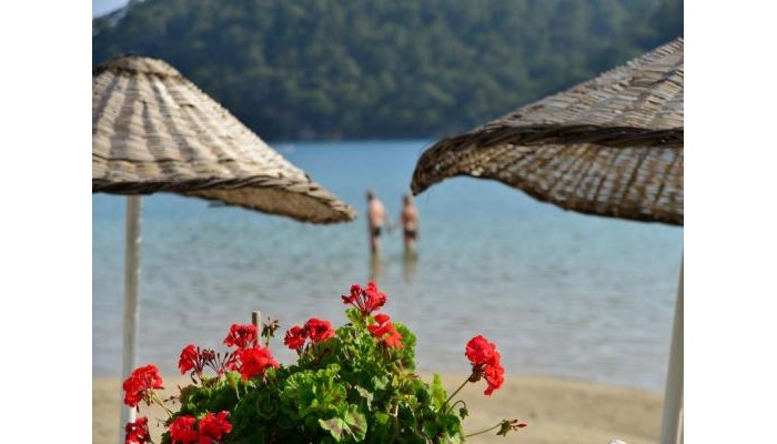 Club Hotel Meri poza 1