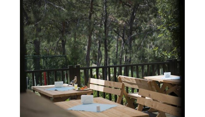 Hotel Liberty Lykia poza 23