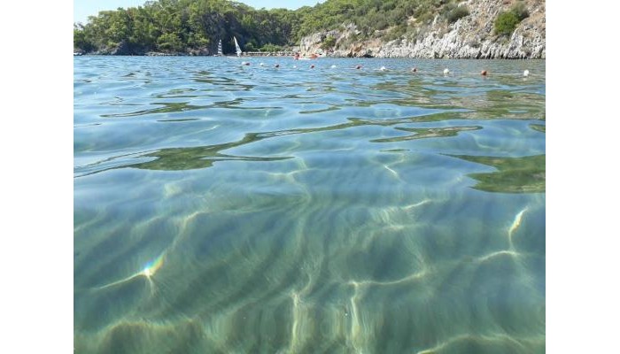 Hotel Dolphin Apart poza 15