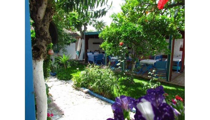 Amazon Antique Hotel poza 1