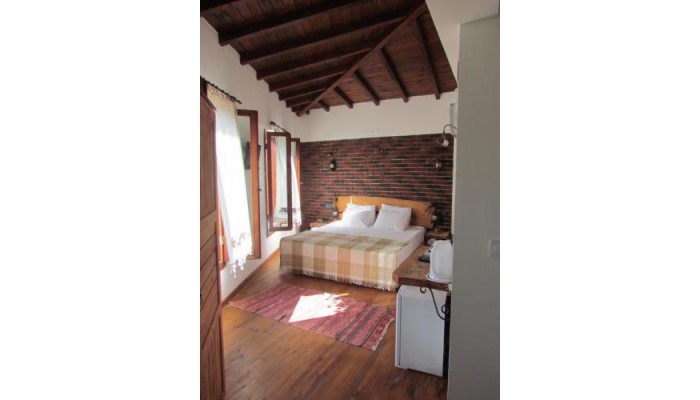 Hotel Amazon Petite Palace poza 3