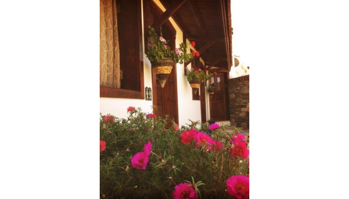 Hotel Amazon Petite Palace poza 1