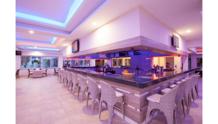 Hotel Cats Catty Garden poza 14