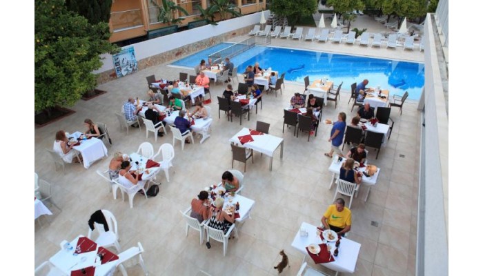 Hotel Cats Catty Garden poza 11