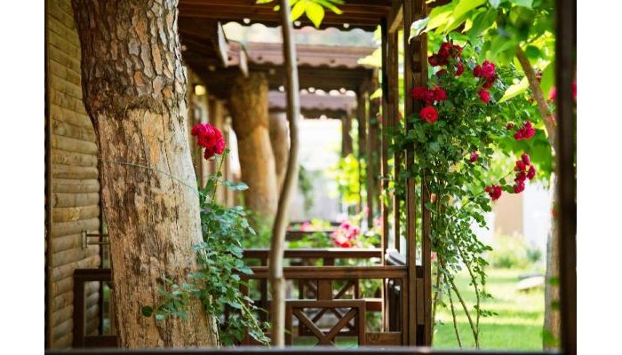 Hotel Flora Garden Beach poza 2