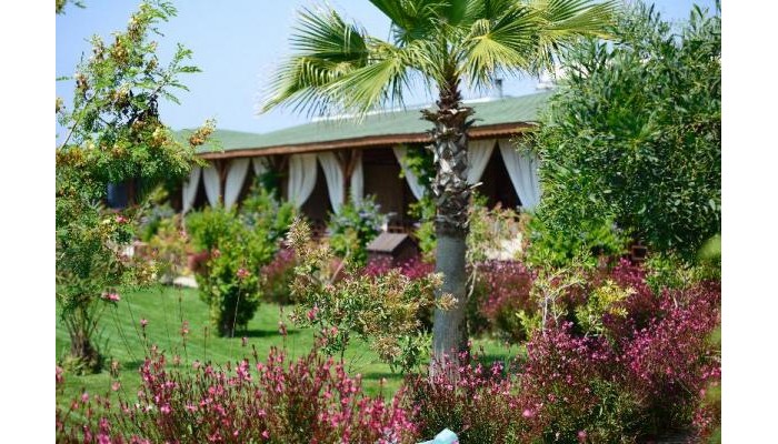 Hotel Flora Garden Beach poza 0