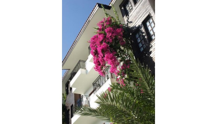 Hotel Lemas Suite poza 4