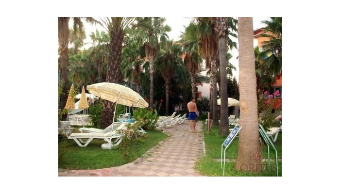 Hotel Orfeus Park poza 11