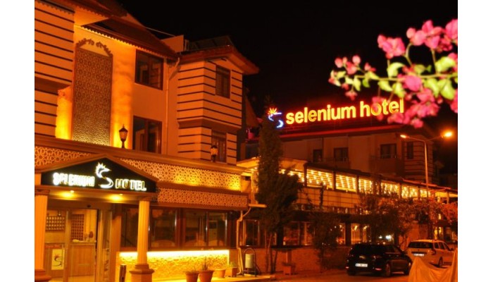 Hotel Selenium poza 0
