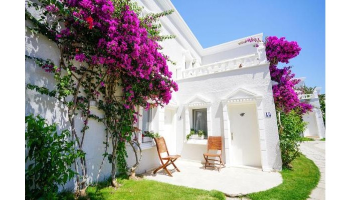 Art Suites Hotel poza 2