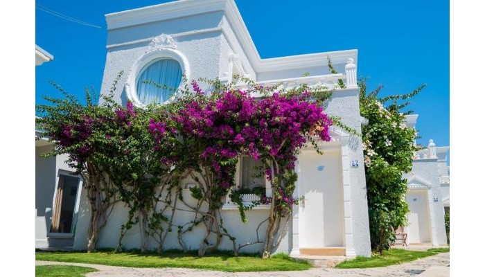 Art Suites Hotel poza 3